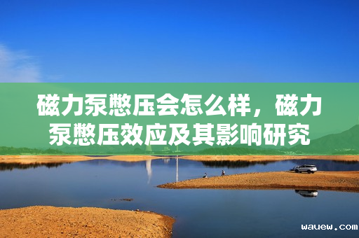 磁力泵憋压会怎么样,磁力泵憋压效应及其影响研究 磁力泵憋压会怎么样,磁力泵憋压效应及其影响研究