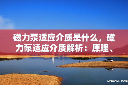 磁力泵适应介质是什么,磁力泵适应介质解析:原理、应用与优势 磁力泵适应介质是什么,磁力泵适应介质解析:原理、应用与优势