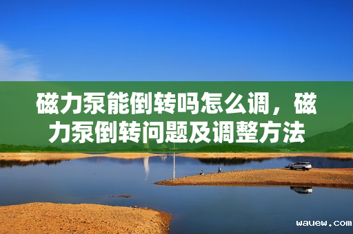 磁力泵能倒转吗怎么调,磁力泵倒转问题及调整方法 磁力泵能倒转吗怎么调,磁力泵倒转问题及调整方法