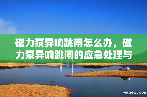 磁力泵异响跳闸怎么办,磁力泵异响跳闸的应急处理与解决方案 磁力泵异响跳闸怎么办,磁力泵异响跳闸的应急处理与解决方案
