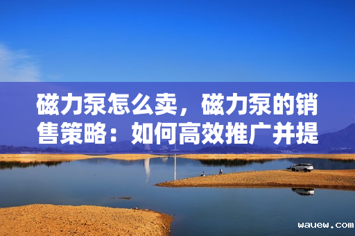 磁力泵怎么卖,磁力泵的销售策略:如何高效推广并提升销售业绩 磁力泵怎么卖,磁力泵的销售策略:如何高效推广并提升销售业绩