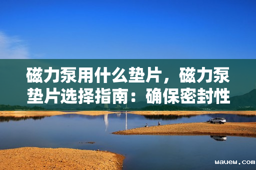 磁力泵用什么垫片,磁力泵垫片选择指南:确保密封性能与泵效的关键 磁力泵用什么垫片,磁力泵垫片选择指南:确保密封性能与泵效的关键