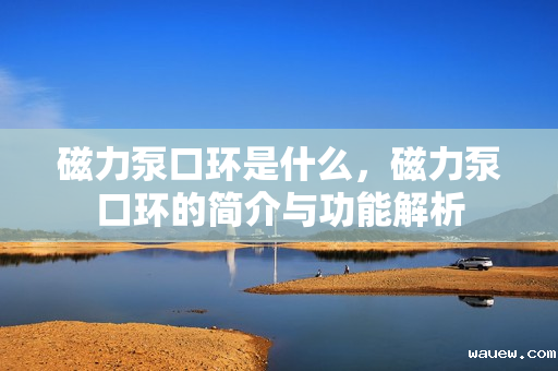 磁力泵口环是什么,磁力泵口环的简介与功能解析 磁力泵口环是什么,磁力泵口环的简介与功能解析