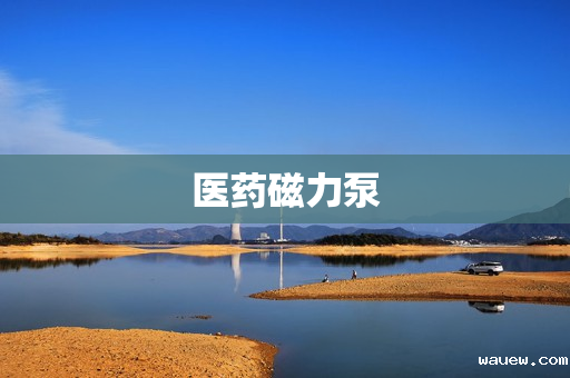 医药磁力泵 医药磁力泵