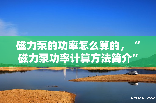 磁力泵的功率怎么算的,“磁力泵功率计算方法简介” 磁力泵的功率怎么算的,“磁力泵功率计算方法简介”
