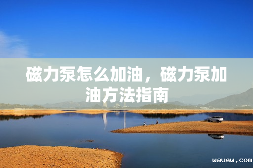 磁力泵怎么加油,磁力泵加油方法指南 磁力泵怎么加油,磁力泵加油方法指南