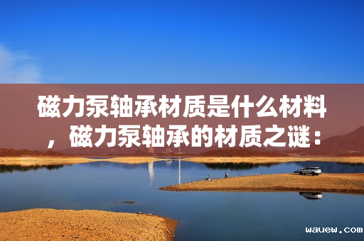 磁力泵轴承材质是什么材料,磁力泵轴承的材质之谜:揭秘其制造材料 磁力泵轴承材质是什么材料,磁力泵轴承的材质之谜:揭秘其制造材料