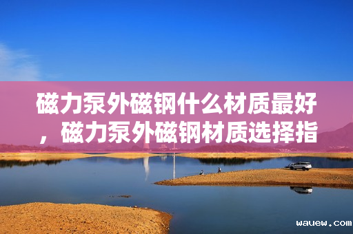 磁力泵外磁钢什么材质最好,磁力泵外磁钢材质选择指南:哪种材质最优? 磁力泵外磁钢什么材质最好,磁力泵外磁钢材质选择指南:哪种材质最优?