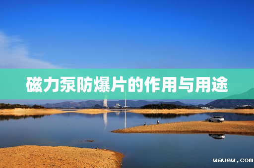 磁力泵防爆片的作用与用途 磁力泵防爆片的作用与用途