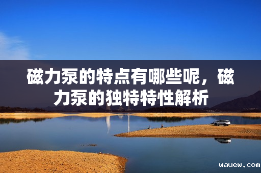 磁力泵的特点有哪些呢,磁力泵的独特特性解析 磁力泵的特点有哪些呢,磁力泵的独特特性解析