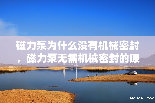 磁力泵为什么没有机械密封,磁力泵无需机械密封的原因揭秘:独特设计实现无泄漏运行 磁力泵为什么没有机械密封,磁力泵无需机械密封的原因揭秘:独特设计实现无泄漏运行