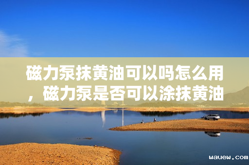 磁力泵抹黄油可以吗怎么用,磁力泵是否可以涂抹黄油及其正确使用方法 磁力泵抹黄油可以吗怎么用,磁力泵是否可以涂抹黄油及其正确使用方法