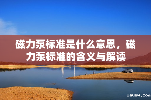 磁力泵标准是什么意思,磁力泵标准的含义与解读 磁力泵标准是什么意思,磁力泵标准的含义与解读