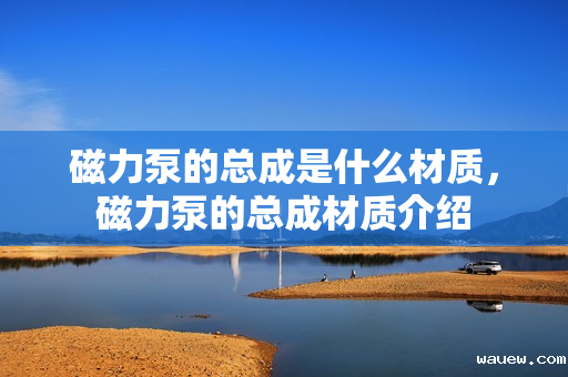 磁力泵的总成是什么材质,磁力泵的总成材质介绍 磁力泵的总成是什么材质,磁力泵的总成材质介绍