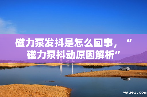 磁力泵发抖是怎么回事,“磁力泵抖动原因解析” 磁力泵发抖是怎么回事,“磁力泵抖动原因解析”