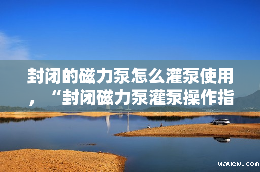 封闭的磁力泵怎么灌泵使用,“封闭磁力泵灌泵操作指南:安全、高效的使用技巧” 封闭的磁力泵怎么灌泵使用,“封闭磁力泵灌泵操作指南:安全、高效的使用技巧”