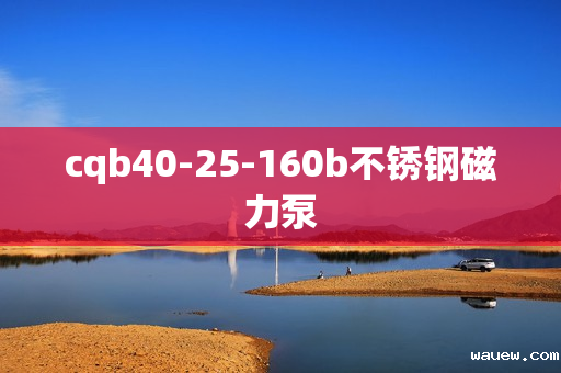 cqb40-25-160b不锈钢磁力泵 cqb40-25-160b不锈钢磁力泵