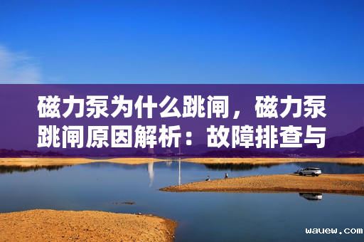 磁力泵为什么跳闸,磁力泵跳闸原因解析:故障排查与维护指南 磁力泵为什么跳闸,磁力泵跳闸原因解析:故障排查与维护指南