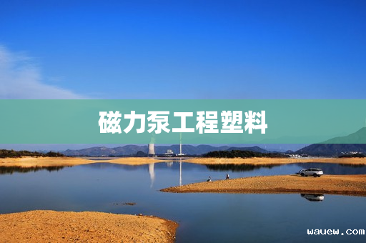 磁力泵工程塑料 磁力泵工程塑料