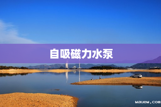 自吸磁力水泵 自吸磁力水泵