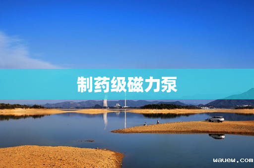 制药级磁力泵 制药级磁力泵