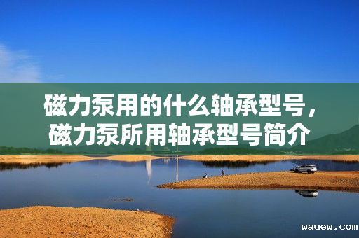 磁力泵用的什么轴承型号,磁力泵所用轴承型号简介 磁力泵用的什么轴承型号,磁力泵所用轴承型号简介