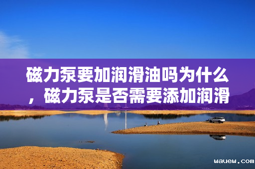 磁力泵要加润滑油吗为什么,磁力泵是否需要添加润滑油及其原因解析 磁力泵要加润滑油吗为什么,磁力泵是否需要添加润滑油及其原因解析