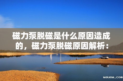 磁力泵脱磁是什么原因造成的,磁力泵脱磁原因解析:故障背后的关键因素探讨 磁力泵脱磁是什么原因造成的,磁力泵脱磁原因解析:故障背后的关键因素探讨