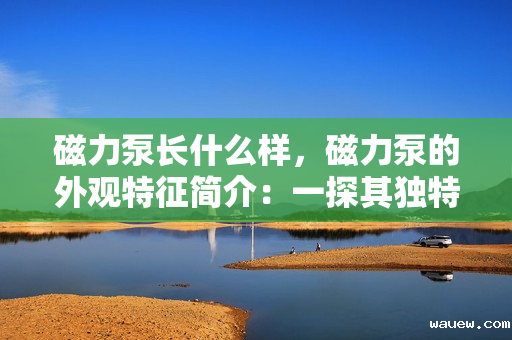 磁力泵长什么样,磁力泵的外观特征简介:一探其独特设计与结构 磁力泵长什么样,磁力泵的外观特征简介:一探其独特设计与结构