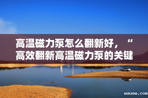 高温磁力泵怎么翻新好,“高效翻新高温磁力泵的关键步骤与技巧” 高温磁力泵怎么翻新好,“高效翻新高温磁力泵的关键步骤与技巧”