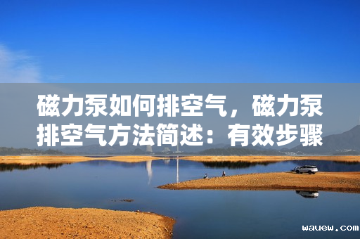磁力泵如何排空气,磁力泵排空气方法简述:有效步骤确保流畅运行 磁力泵如何排空气,磁力泵排空气方法简述:有效步骤确保流畅运行