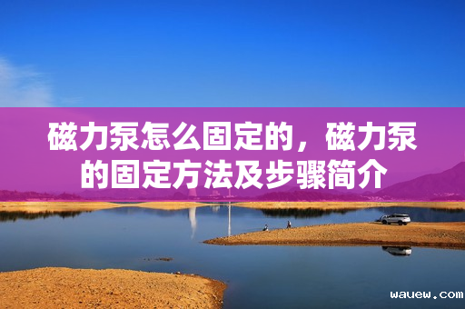 磁力泵怎么固定的,磁力泵的固定方法及步骤简介 磁力泵怎么固定的,磁力泵的固定方法及步骤简介