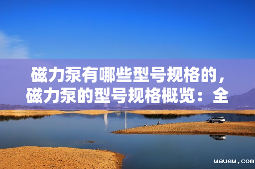 磁力泵有哪些型号规格的,磁力泵的型号规格概览:全面解析各类磁力泵型号 磁力泵有哪些型号规格的,磁力泵的型号规格概览:全面解析各类磁力泵型号