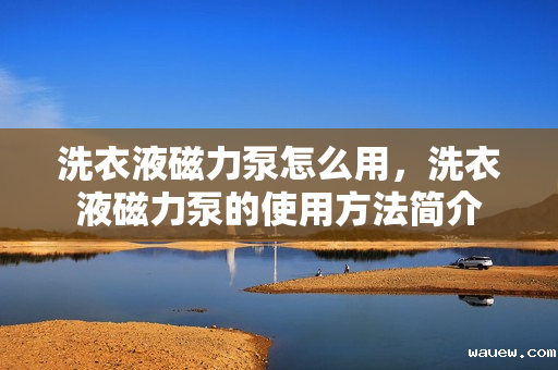 洗衣液磁力泵怎么用,洗衣液磁力泵的使用方法简介 洗衣液磁力泵怎么用,洗衣液磁力泵的使用方法简介