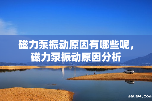 磁力泵振动原因有哪些呢,磁力泵振动原因分析 磁力泵振动原因有哪些呢,磁力泵振动原因分析