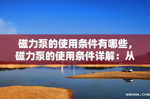 磁力泵的使用条件有哪些,磁力泵的使用条件详解:从安装到操作的全面指南 磁力泵的使用条件有哪些,磁力泵的使用条件详解:从安装到操作的全面指南