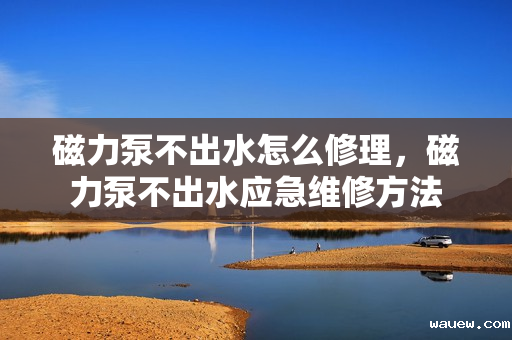 磁力泵不出水怎么修理,磁力泵不出水应急维修方法 磁力泵不出水怎么修理,磁力泵不出水应急维修方法