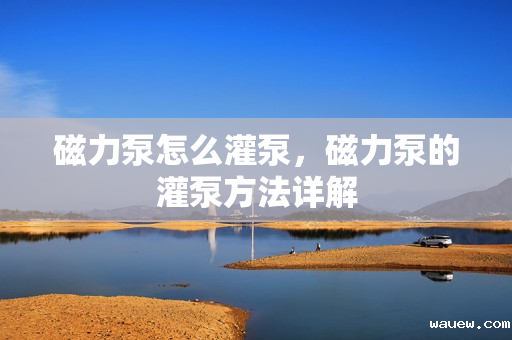 磁力泵怎么灌泵,磁力泵的灌泵方法详解 磁力泵怎么灌泵,磁力泵的灌泵方法详解