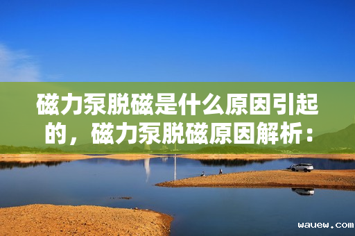 磁力泵脱磁是什么原因引起的,磁力泵脱磁原因解析:故障背后的关键因素探讨 磁力泵脱磁是什么原因引起的,磁力泵脱磁原因解析:故障背后的关键因素探讨