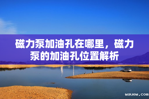 磁力泵加油孔在哪里,磁力泵的加油孔位置解析 磁力泵加油孔在哪里,磁力泵的加油孔位置解析