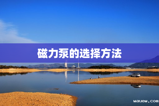 磁力泵的选择方法 磁力泵的选择方法