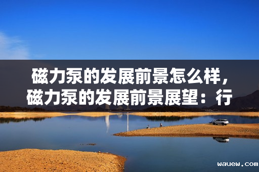 磁力泵的发展前景怎么样,磁力泵的发展前景展望:行业趋势与市场潜力分析 磁力泵的发展前景怎么样,磁力泵的发展前景展望:行业趋势与市场潜力分析