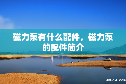 磁力泵有什么配件,磁力泵的配件简介 磁力泵有什么配件,磁力泵的配件简介