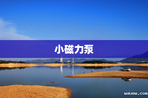 小磁力泵 小磁力泵