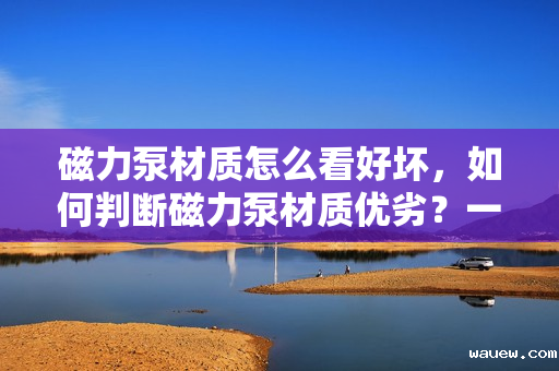 磁力泵材质怎么看好坏,如何判断磁力泵材质优劣?一文解析磁力泵材质选择关键点 磁力泵材质怎么看好坏,如何判断磁力泵材质优劣?一文解析磁力泵材质选择关键点