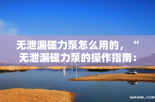 无泄漏磁力泵怎么用的,“无泄漏磁力泵的操作指南:简单易懂的使用方法” 无泄漏磁力泵怎么用的,“无泄漏磁力泵的操作指南:简单易懂的使用方法”