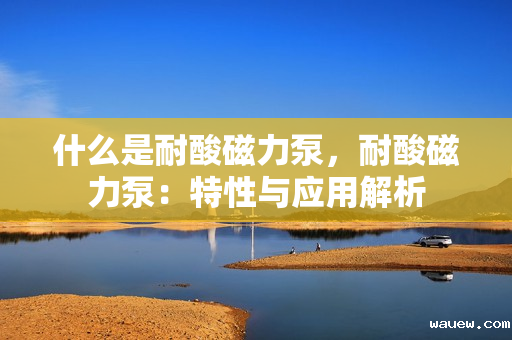 什么是耐酸磁力泵,耐酸磁力泵:特性与应用解析 什么是耐酸磁力泵,耐酸磁力泵:特性与应用解析