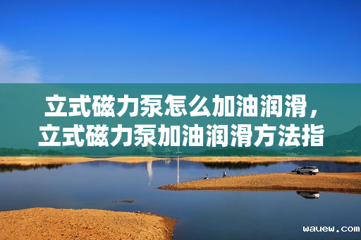 立式磁力泵怎么加油润滑,立式磁力泵加油润滑方法指南 立式磁力泵怎么加油润滑,立式磁力泵加油润滑方法指南