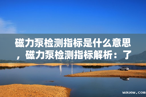 磁力泵检测指标是什么意思,磁力泵检测指标解析:了解评估磁力泵性能的关键参数 磁力泵检测指标是什么意思,磁力泵检测指标解析:了解评估磁力泵性能的关键参数