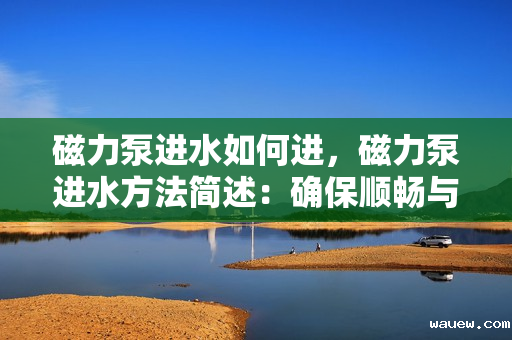 磁力泵进水如何进,磁力泵进水方法简述:确保顺畅与安全的操作流程 磁力泵进水如何进,磁力泵进水方法简述:确保顺畅与安全的操作流程